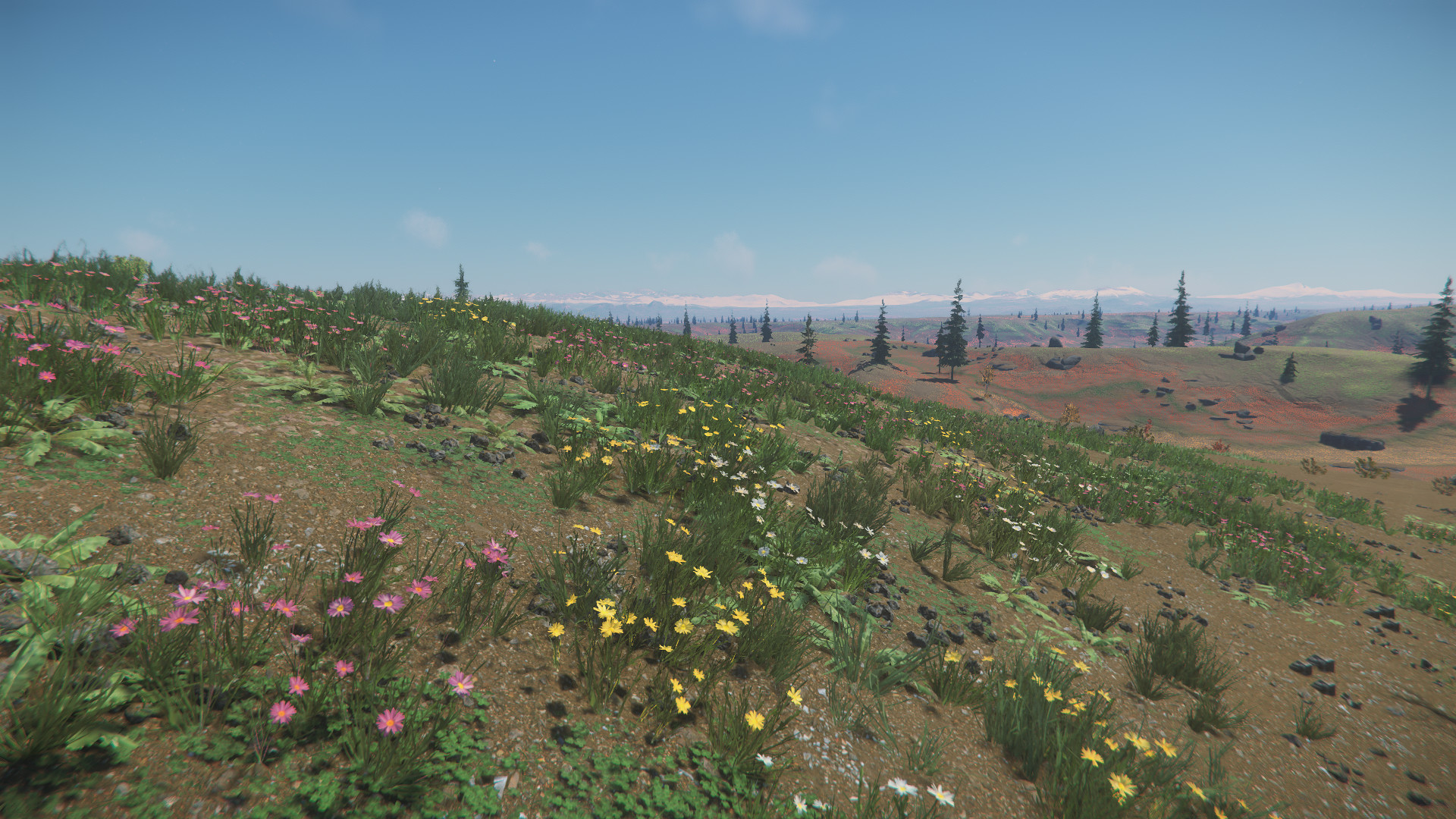 30 FloralFields